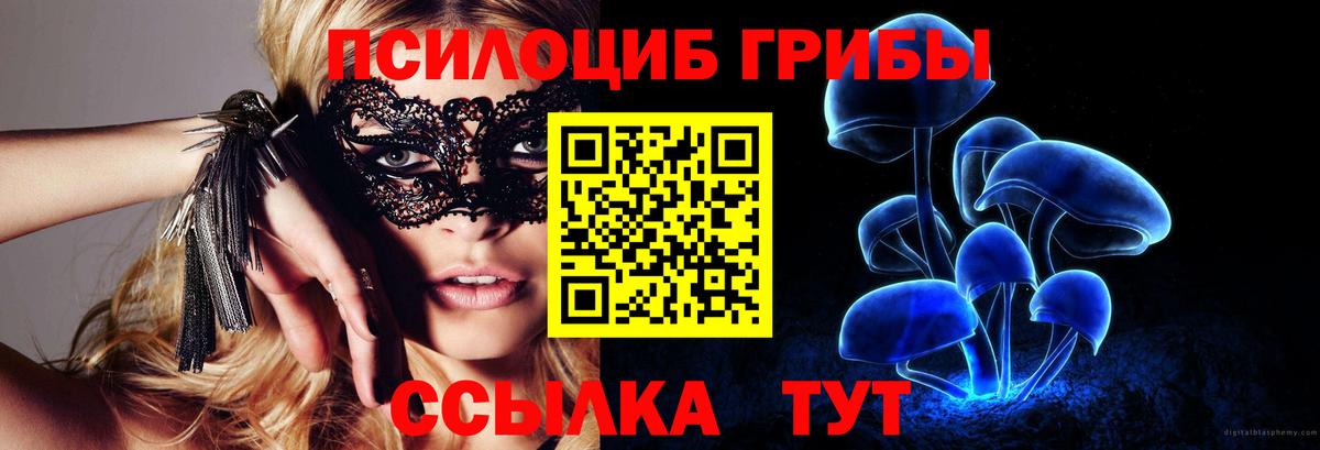 цены   Вход с VPN  Тайшет  Галлюциногенные грибы Psilocybine cubensis 
